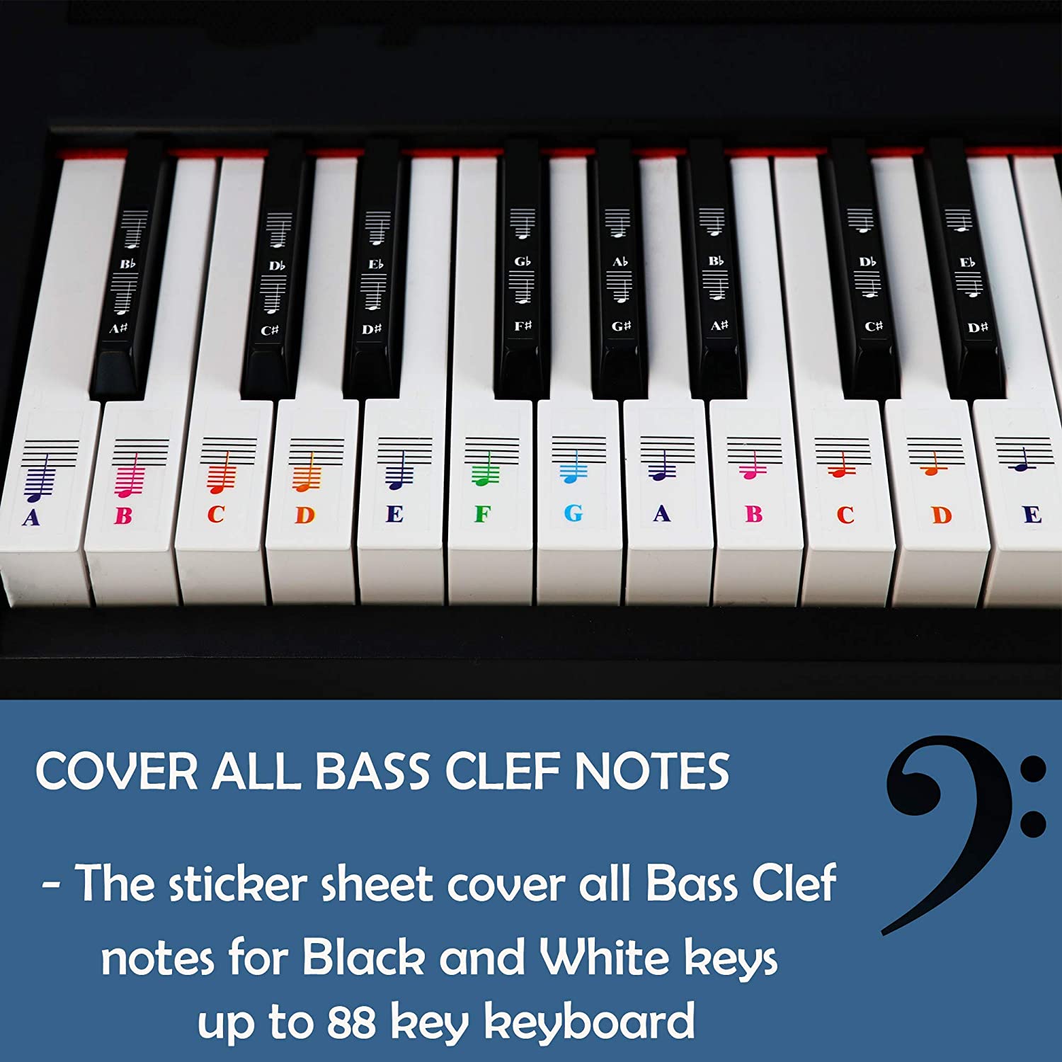 QMG Color Piano and Keyboard Music Note Full Set Stickers for